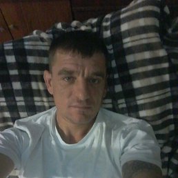 , 41, 