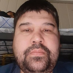 ���������, �����-���������, 40 ���