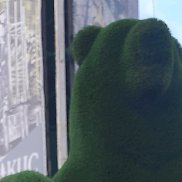 ������, 66 ���, ������