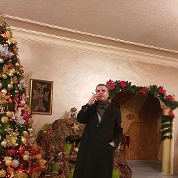 �, �����, 55 ���