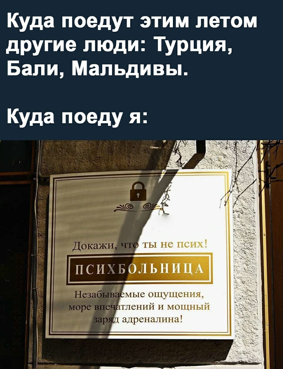 ***Victoria Viktorovna*** - 22  2024  07:37