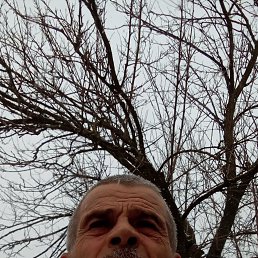 ���� Alexandr, �������, 64 ���� - ��������� 17 ������ 2023