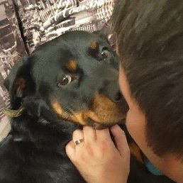 ���� Anton, ����������, 34 ���� - ��������� 2 ������ 2026