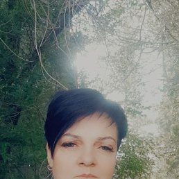 , 53, 