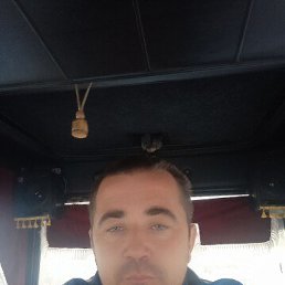 ������, 37 ���, ���������