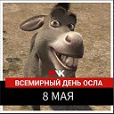  ,  -  8  2025    