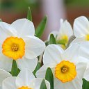 ���� �����, �������, 44 ���� - ��������� 22 ������� 2025 � ������ ���� ����������