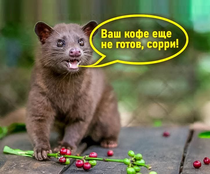   - ..)