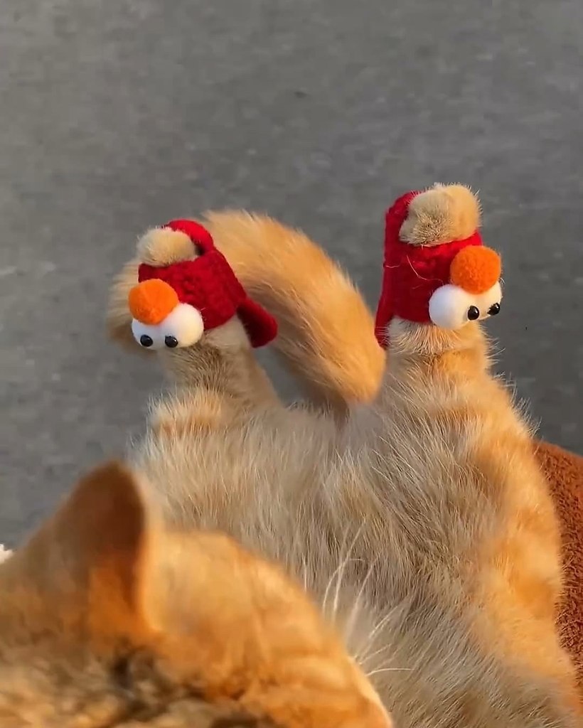   - 2