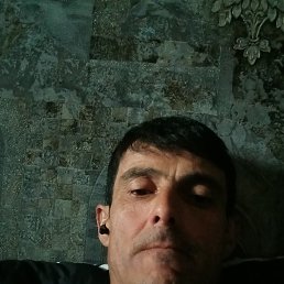 , 41, 