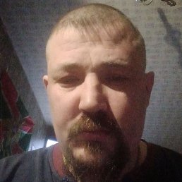 �����, ������, 41 ���