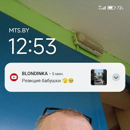 , 46, 