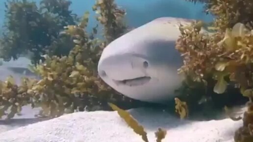 aec c eap a, ae ec a caa pea aa  pe. eapa aa e ... - 3