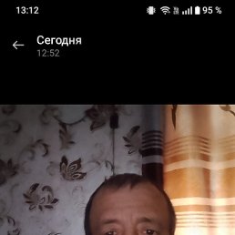 , 40, 
