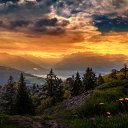 ���� �����, ������ �����, 40 ��� - ��������� 15 ������� 2024 � ������ ���� ����������