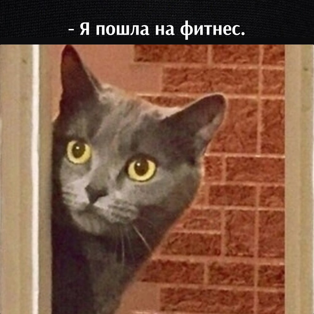       - 20  2025  19:26