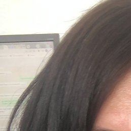 ���������, ������������, 41 ���