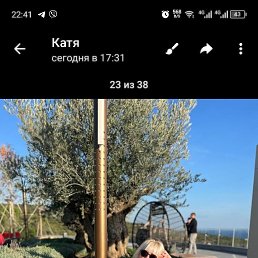 , 43, 