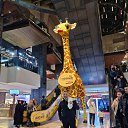 ���� ������, ������� - ��������� 25 ������ 2024 � ������ ���� ����������