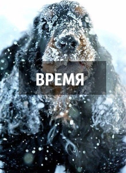    - 26  2025  20:47 - 5