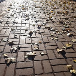 Sato, ������