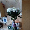 ���� ������, ������, 41 ��� - ��������� 5 ������� 2026 � ������ ���� ����������