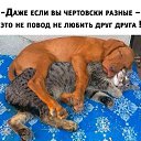 ���� ����, ����� - ��������� 14 ��� 2025 � ������ ������� ����