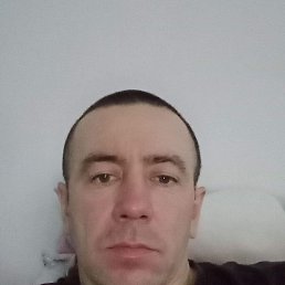 , 44, 