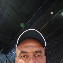 , 37, -