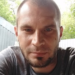 . �����, ������, 41 ���