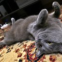 ���� ����������, �������, 51 ��� - ��������� 30 ������ 2025 � ������ ������ ��������