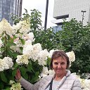 ���� ������, ������������, 70 ��� - ��������� 18 ������� 2024 � ������ ���� ����������