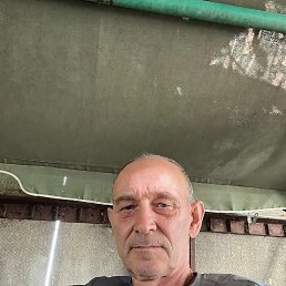 , 57, 