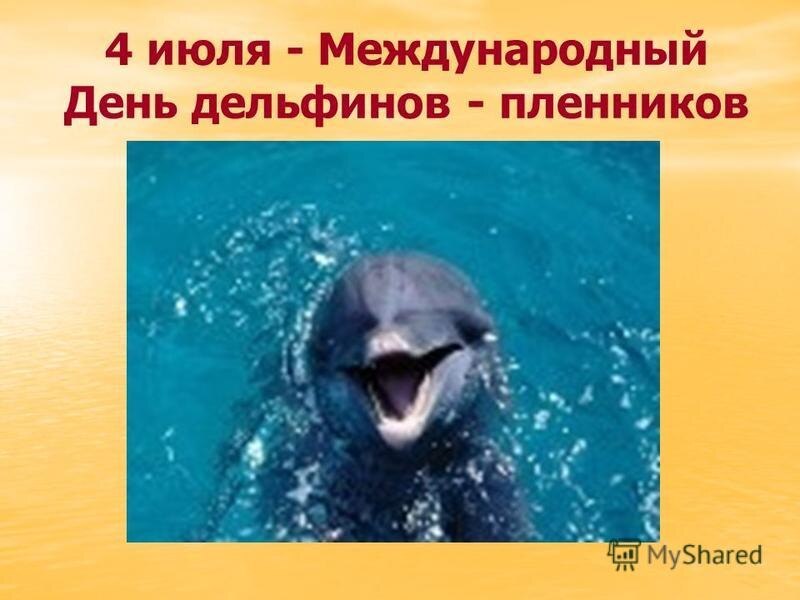 : , , , , , , , , ,  - 5