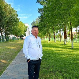 ���� ������, ������, 41 ��� - ��������� 5 ������� 2026