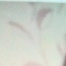 ��������, ������, 44 ����