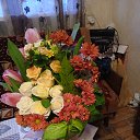 ���� Manull, ������, 45 ��� - ��������� 3 ������� 2026