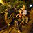  Georgiy (),  -  24  2025