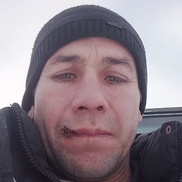 ������, �������, 37 ���