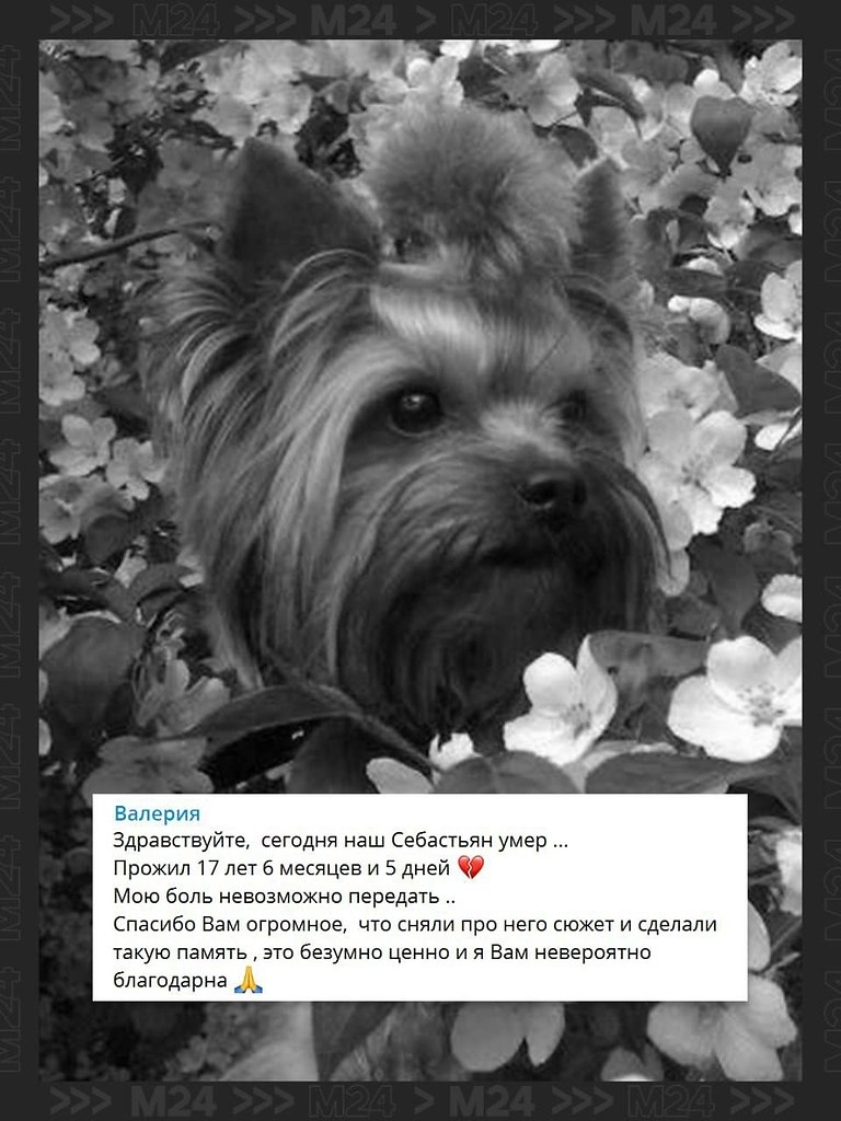 ���� ����������� ������ �� ����� ���������, ������� ��� ������������ �� �������� ����� ���������� ...