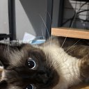 ���� Tina*, �������, 55 ��� - ��������� 20 ������ 2025 � ������ ������ ��������