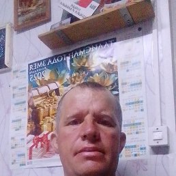 , 42, 