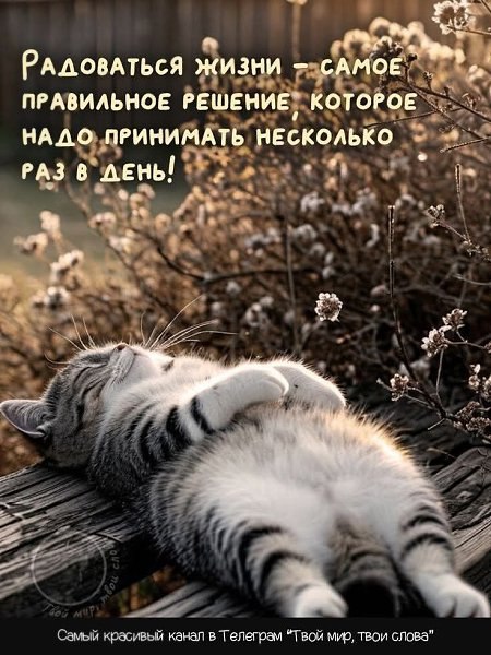   - 25  2025  14:22