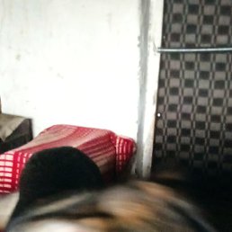 ����, ������, 55 ���