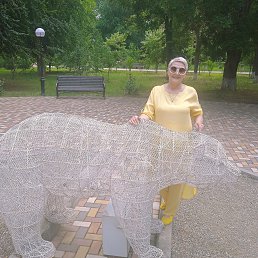 , 65, 