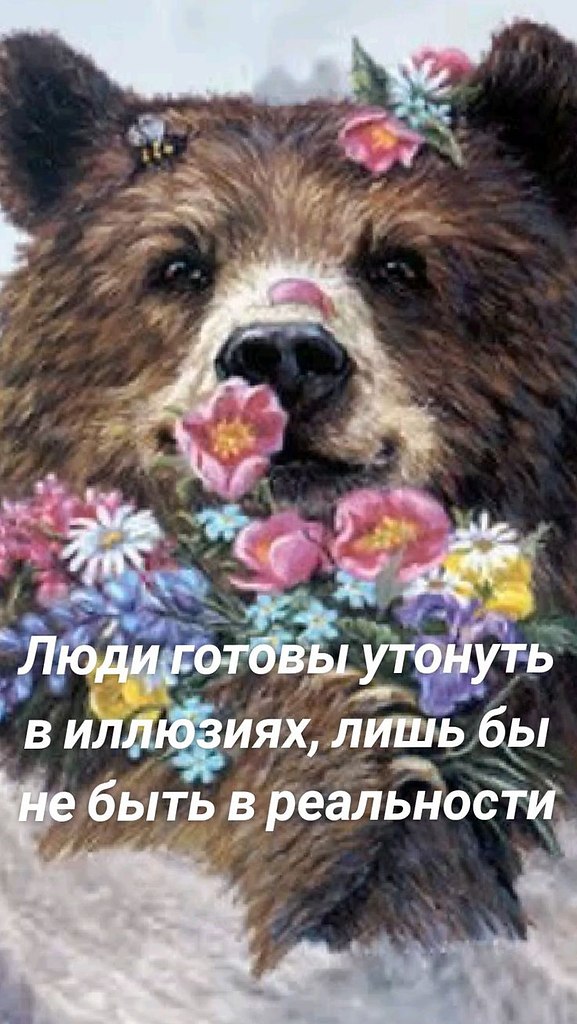   ! - 26  2024  10:48