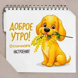 V, ������, 65 ���