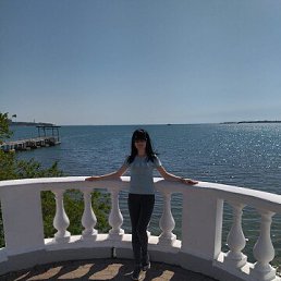 ���� �����, ����������, 41 ��� - ��������� 20 ������� 2026