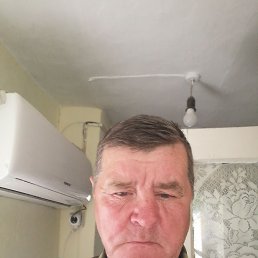 , 61, 