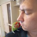 ���� ������� ��������, ���������� �����, 38 ��� - ��������� 8 ������ 2025